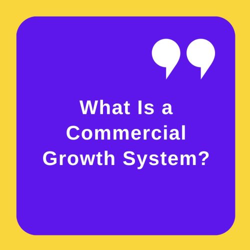 What Is a Commercial Growth System